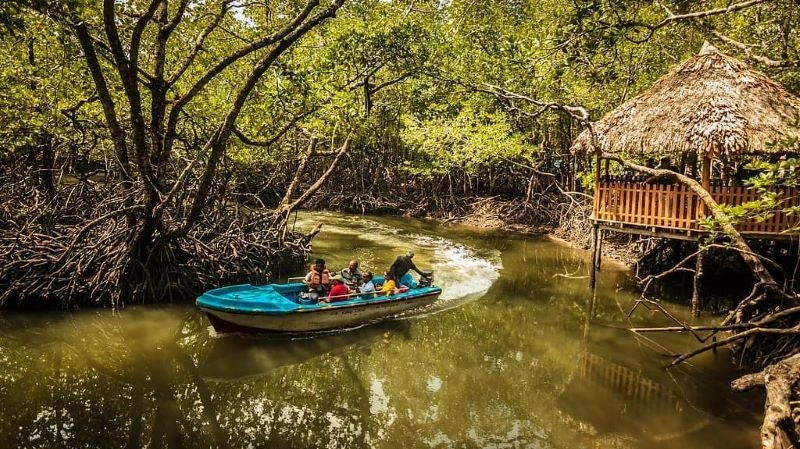 Andaman Tour With Baratang.